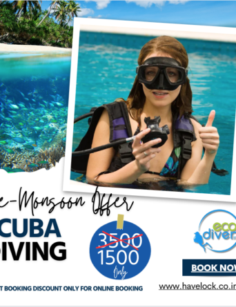 basic scuba diving in 60%off