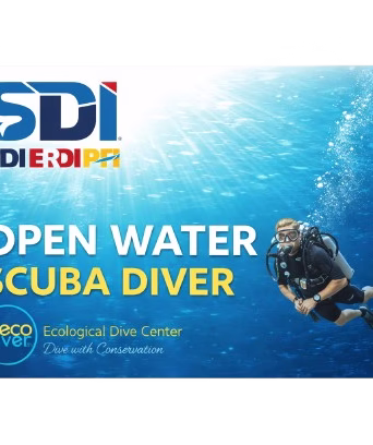 SDI Open Water Diver Certification